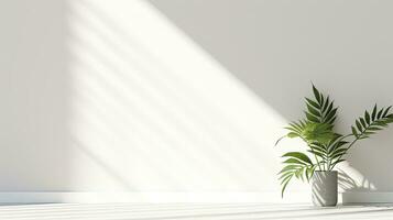 Simple white wall with blurred foliage shadow on light background Perfect backdrop for a presentation on a sleek floor. silhouette concept photo