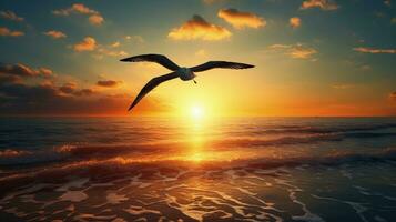 Gorgeous sea sunset with bird silhouette flying photo