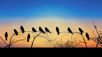 maravilloso pájaro siluetas en contra un vibrante cielo foto