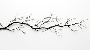 White background isolated tree branches. silhouette concept photo