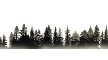 HD isolated white background view of tree line. silhouette concept photo