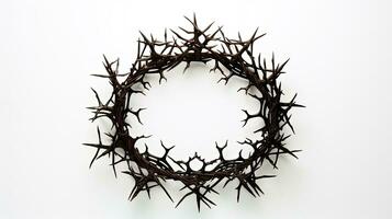 White background top view of crown of thorns. silhouette concept photo