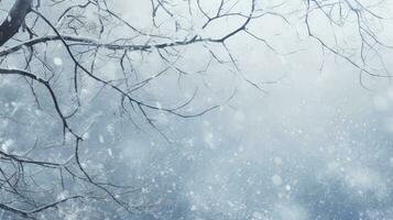 Snow covered tree branch. silhouette concept photo