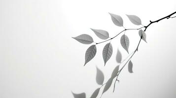 Blurry black and white shadows of the leafy tree on a gray background. silhouette concept photo