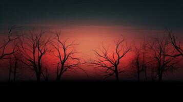 eerie sunset bare tree outlines. silhouette concept photo