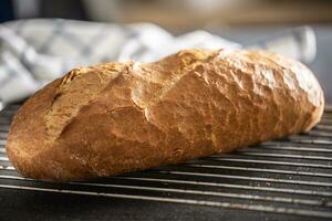 Fresh crusty bread loaf placed on a metal grid in the kitchen photo