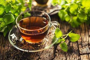 A cup of melissa tea with herbs on wooden table photo