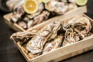 Several oysters in basket with lime and lemon photo