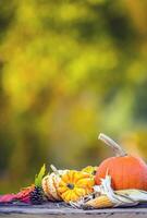 otoño concepto. calabazas, mazorcas de maíz y hojas en jardín en de madera antecedentes foto