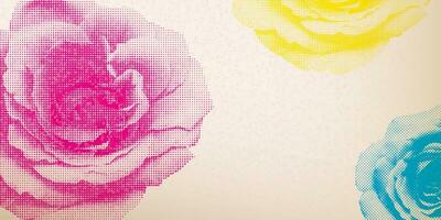 Rose flowers halftone screen CMYK colors transparent with riso print effect vector illustration on old paper background have blank space. Valentine's day greeting card template.