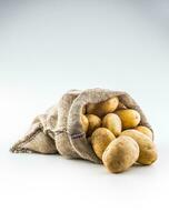 nuevo patatas en arpillera saco aislado en blanco. foto