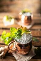 Moscow Mule highball cocktail and a long vodka drink with fresh lime, ginger beer, and mint photo