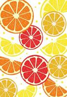 slice of  Citrus Fruits Lemon,  Lime and Orange background vector