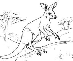 kangaroo jumping in the wild coloring page vector