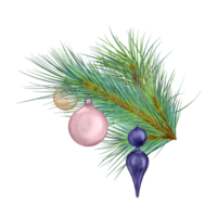 Pine branch with Christmas balls digital watercolor style illustration. Cedar, conifer decoration hand drawn. Element for Christmas design, card, 2023 new year design, holiday print. png
