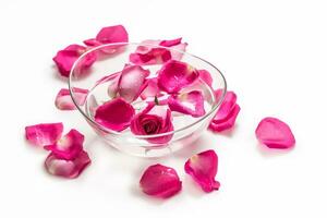 Pink roses and petals in bowl with pure water over white.. Spa and wellness concept photo