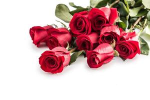 Red roses. Bouquet of red roses isolated on white photo