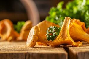 Raw chanterelles mushroom on wood with parsley herbs photo