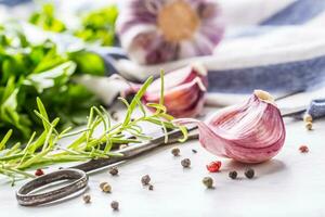 Garlic Cloves and Bulbs with rosemary salt and pepper. photo