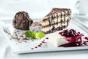 Titamisu italian dessert with pana cotta chocolate profiteroll mint herb and coffee photo