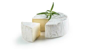 Camembert or brie cheese with rosemary isolated on white photo