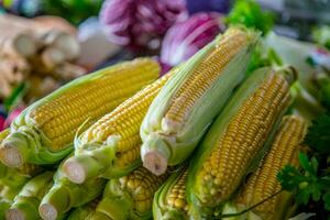 dulce maíz en el granja mercado en el ciudad. frutas y vegetales a un agricultores mercado foto