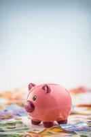 Euro money euro banknotes euro currency and piggy bank photo