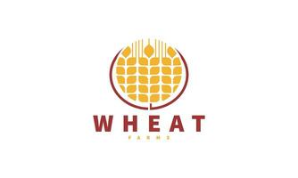 Wheat grain logo design vector. Grain wheat field logo concept  agriculture wheat logo template vector