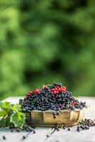 Black and red currant in bronze bowl on garden table photo