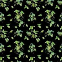 Hop vine, plant humulus watercolor seamless pattern isolated on black background. Hop on brunch with leaves, hop cones hand drawn. Design element for wrapping, label, packaging, paper, textile vector