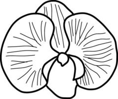 sketch of orchid flower vector