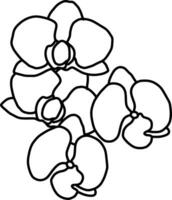 sketch of orchid flower vector