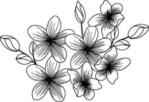 bosquejo de floral arreglo ilustración vector