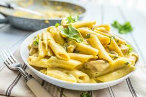 Pasta pene with chicken pieces mushrooms parmesan cheese sauce and herb decoration. Pene con pollo - Italian or medierranean cuisine photo