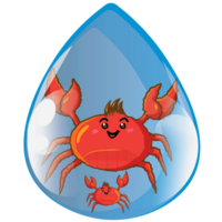 bubble animal water drop set aqua summer sea png