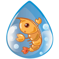 bubble animal water drop set aqua summer sea png