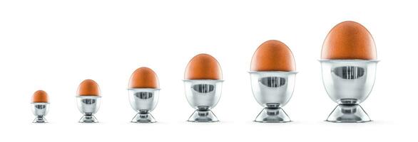 Six eggs in egg cups isolated on white background. photo