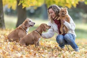 A young cheerful woman is getting to know two new dogs with her pet photo