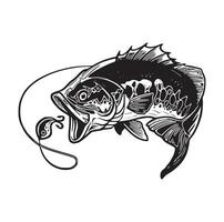 Black and white of largemouth bass fish vector