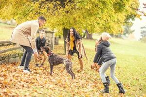 Family playing with a dog outdoors during an autumn day photo