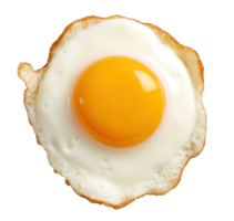 Fried egg isolated png