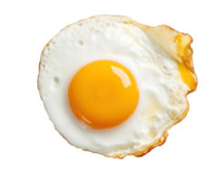 Fried egg isolated png