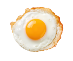 Fried egg isolated png