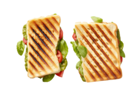 Grilled sandwich cut into pieces isolated png