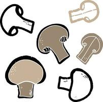 mushrooms set of different types of mushrooms vector