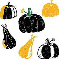 pumpkins and gourds vector