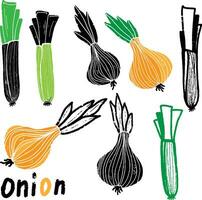 Onion and shallot. Graphic texture elements. Vector set, collection