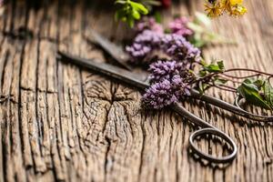 medicinal hierbas y flores en Clásico madera con tijeras foto