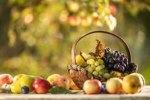 Blue and white grapes in a wooden basket on a wooden table, along with other fruits photo