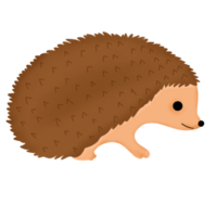 hand drawn porcupine png